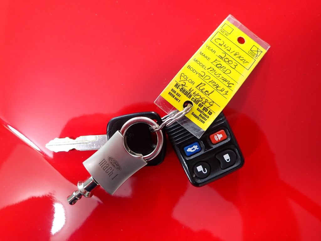 Used 2003 Ford Mustang Mach 1 RWD image 35