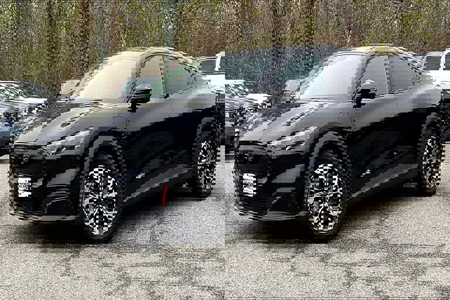 Used 2025 Ford Mustang Mach-E Select w/ Comfort Package Lite image 3