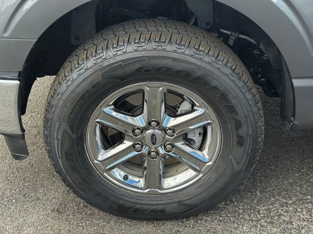 Used 2025 Ford F150 XLT w/ Equipment Group 301A Standard image 10