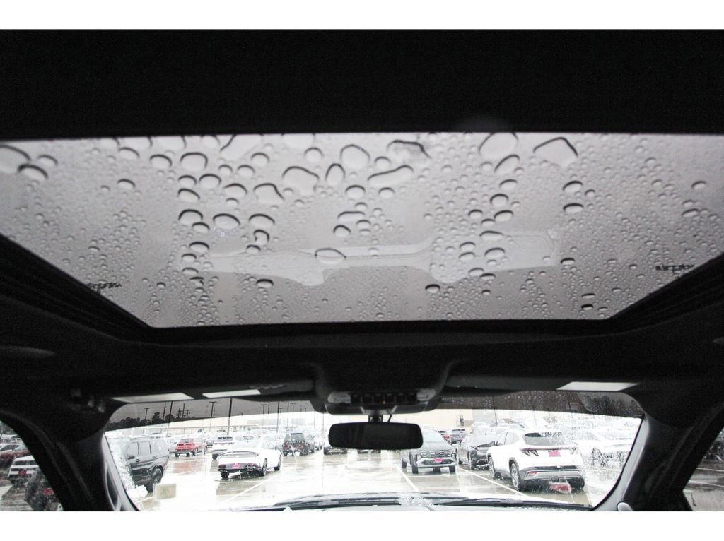 Used 2025 Ford F150 Raptor image 14