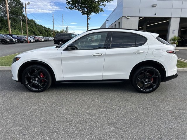 Used 2024 Alfa Romeo Stelvio Veloce image 5