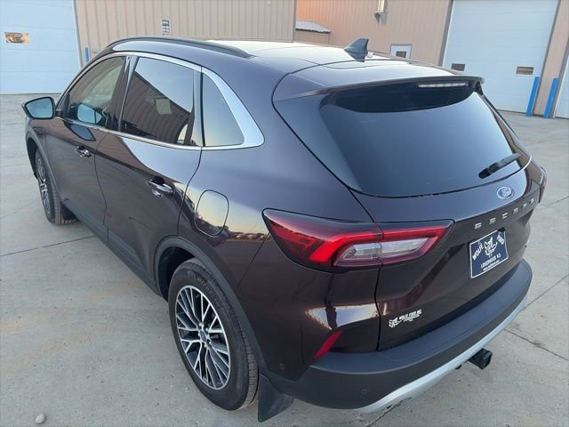 Used 2023 Ford Escape SE w/ PHEV Premium Package image 5