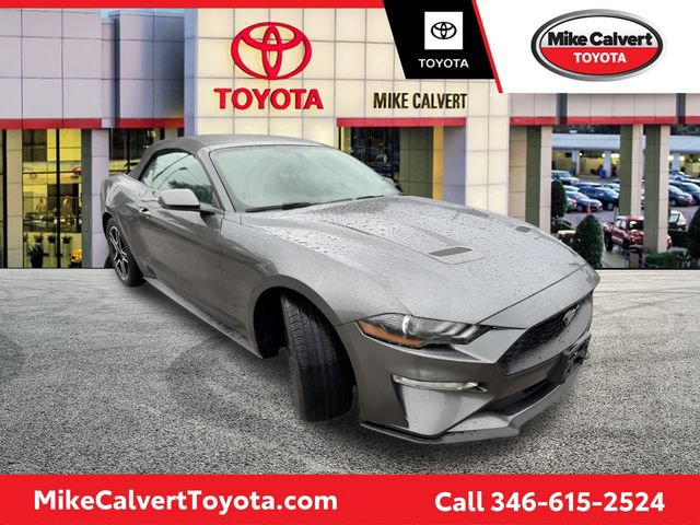 Used 2019 Ford Mustang Premium RWD image 1