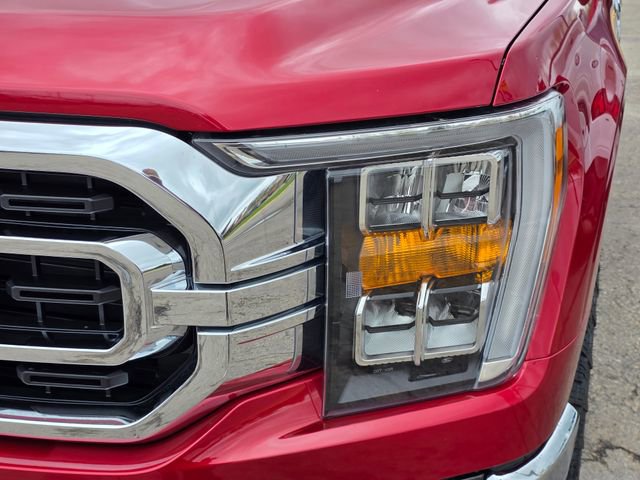 Certified 2021 Ford F150 XLT w/ Equipment Group 302A High AWD/4WD image 3