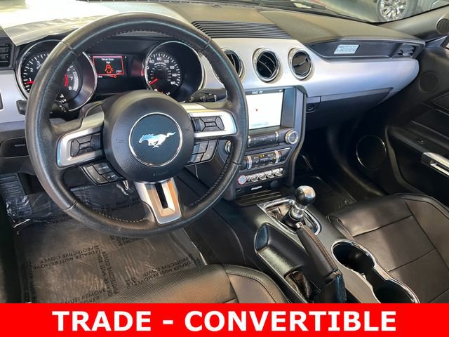 Used 2017 Ford Mustang Premium image 13
