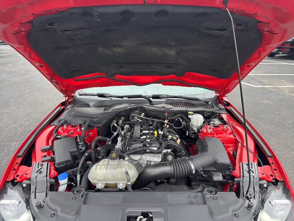 Used 2021 Ford Mustang Coupe image 11