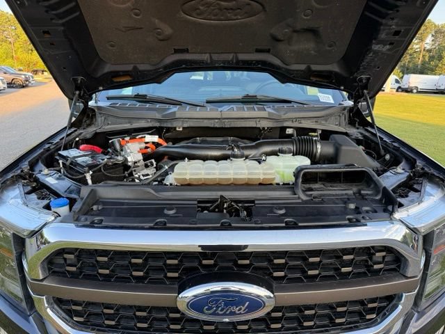 Used 2022 Ford F150 King Ranch w/ Equipment Group 601A High AWD/4WD image 31