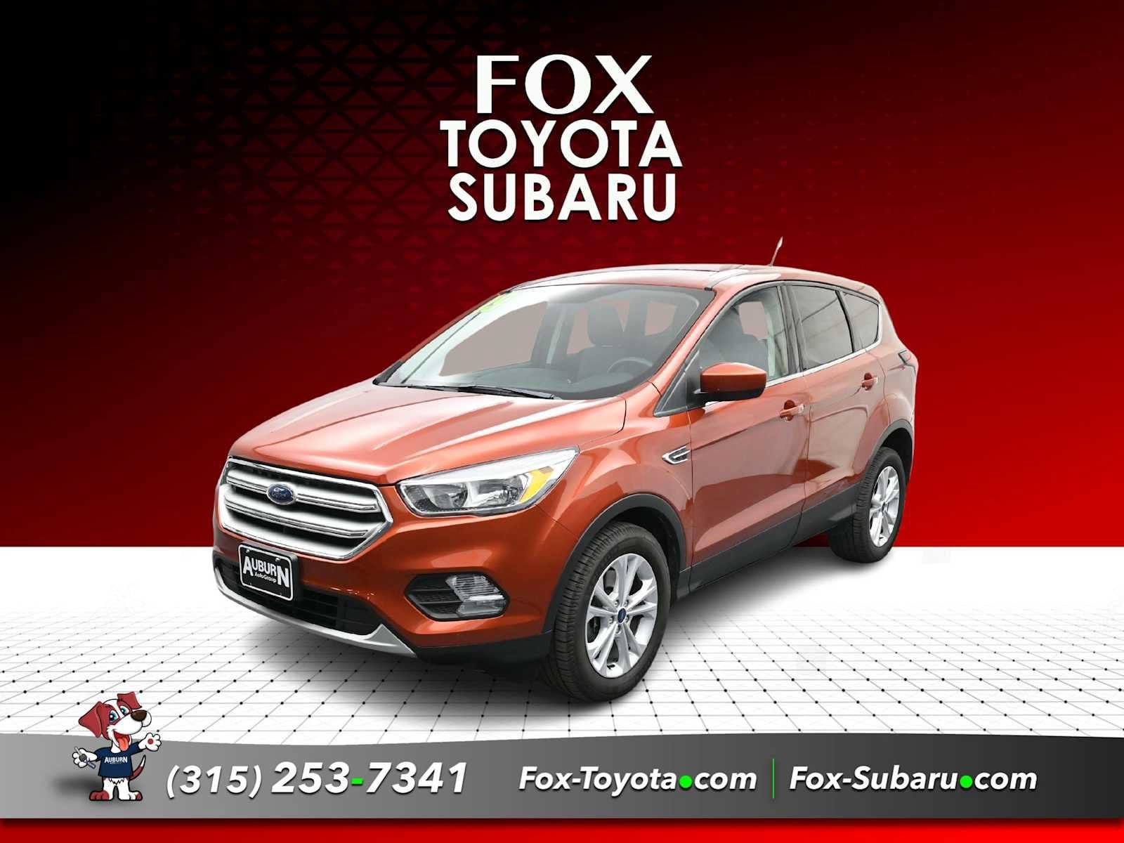 Used 2019 Ford Escape SE AWD/4WD image 1