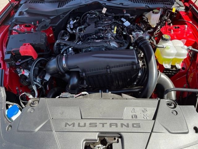 New 2026 Ford Mustang Coupe w/ Mustang Nite Pony Package RWD image 18