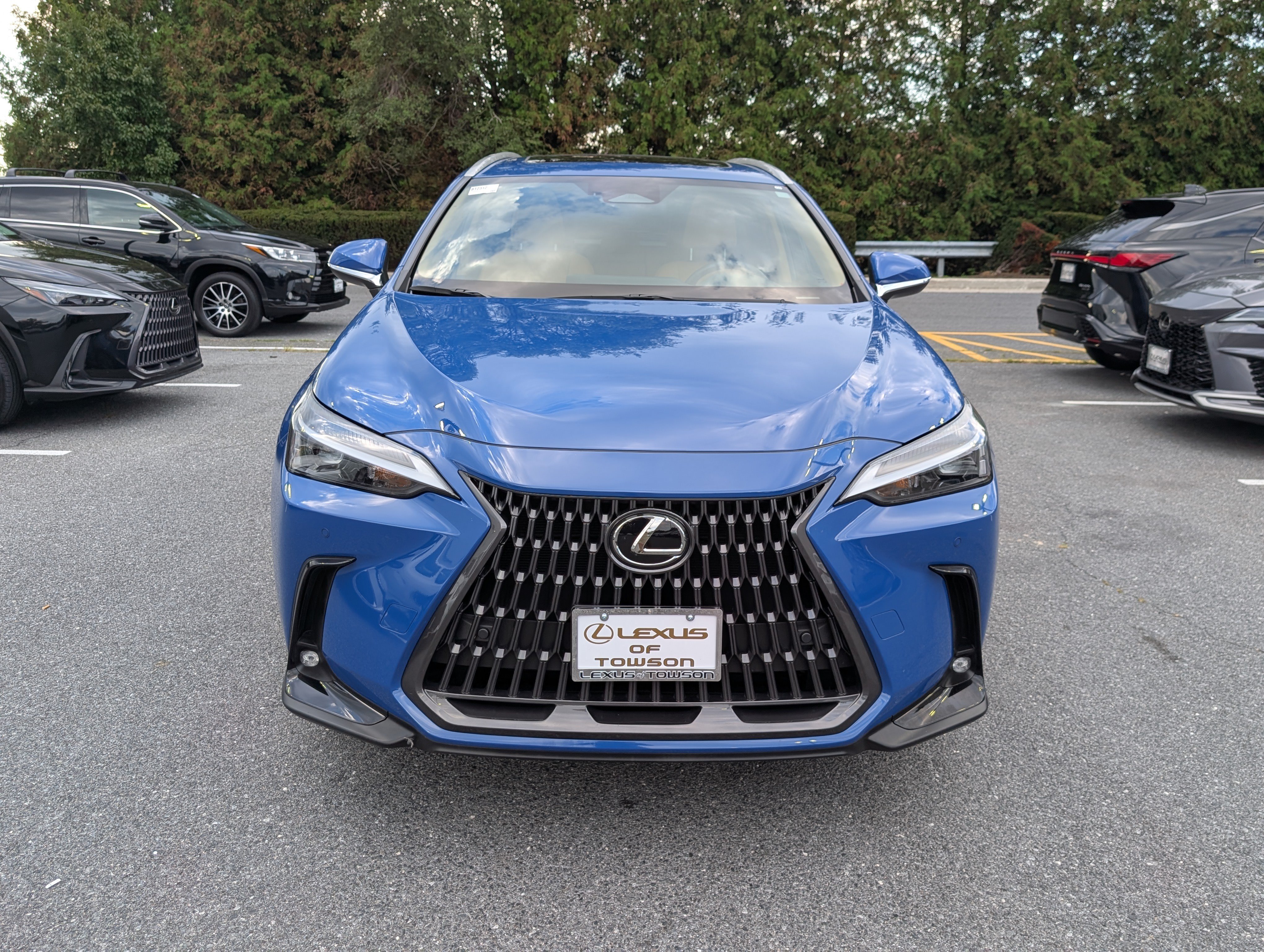 Certified 2025 Lexus NX 350h AWD w/ Cold Area Package image 8