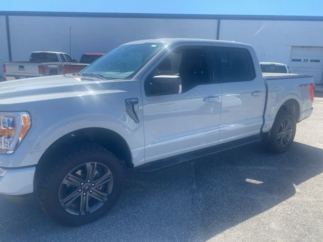 Used 2023 Ford F150 XLT w/ Equipment Group 302A High image 2