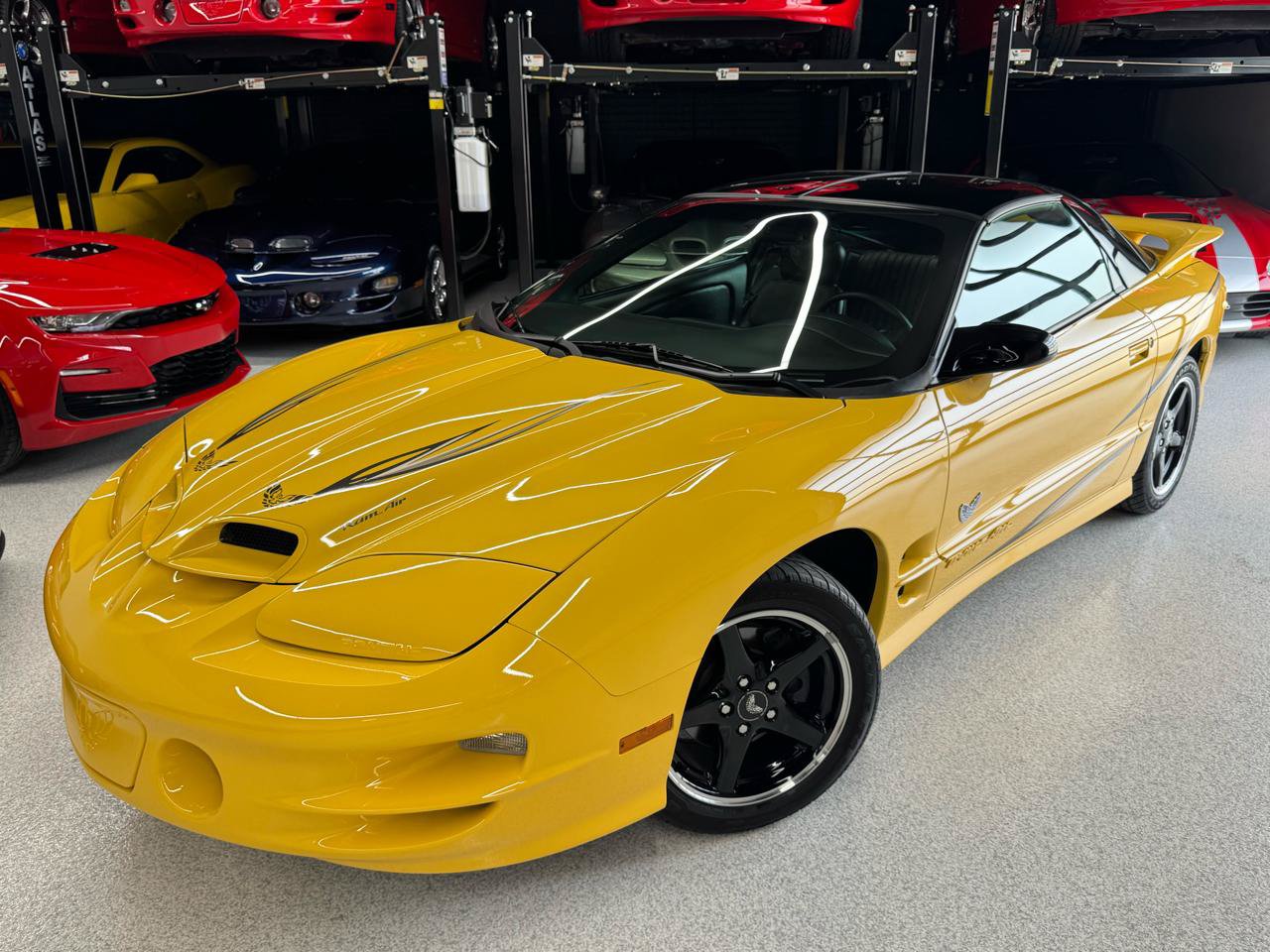 Used 2002 Pontiac Firebird Trans Am RWD image 2