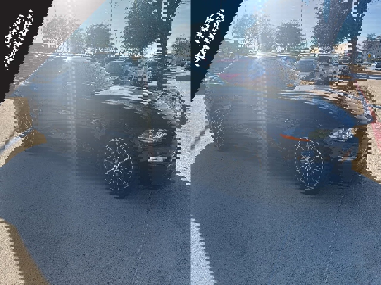 Used 2022 Ford Mustang Coupe w/ Equipment Group 101A image 1