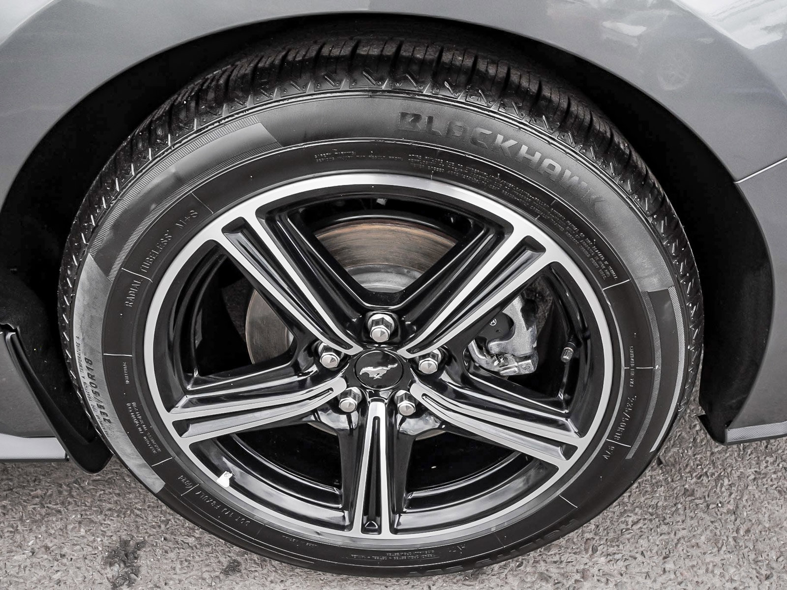 Used 2025 Ford Mustang Premium RWD image 12