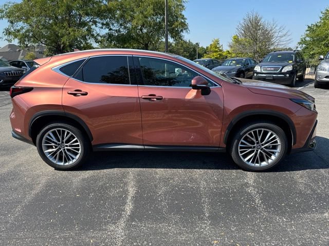 Used 2025 Lexus NX 350 AWD w/ Cold Area Package image 2