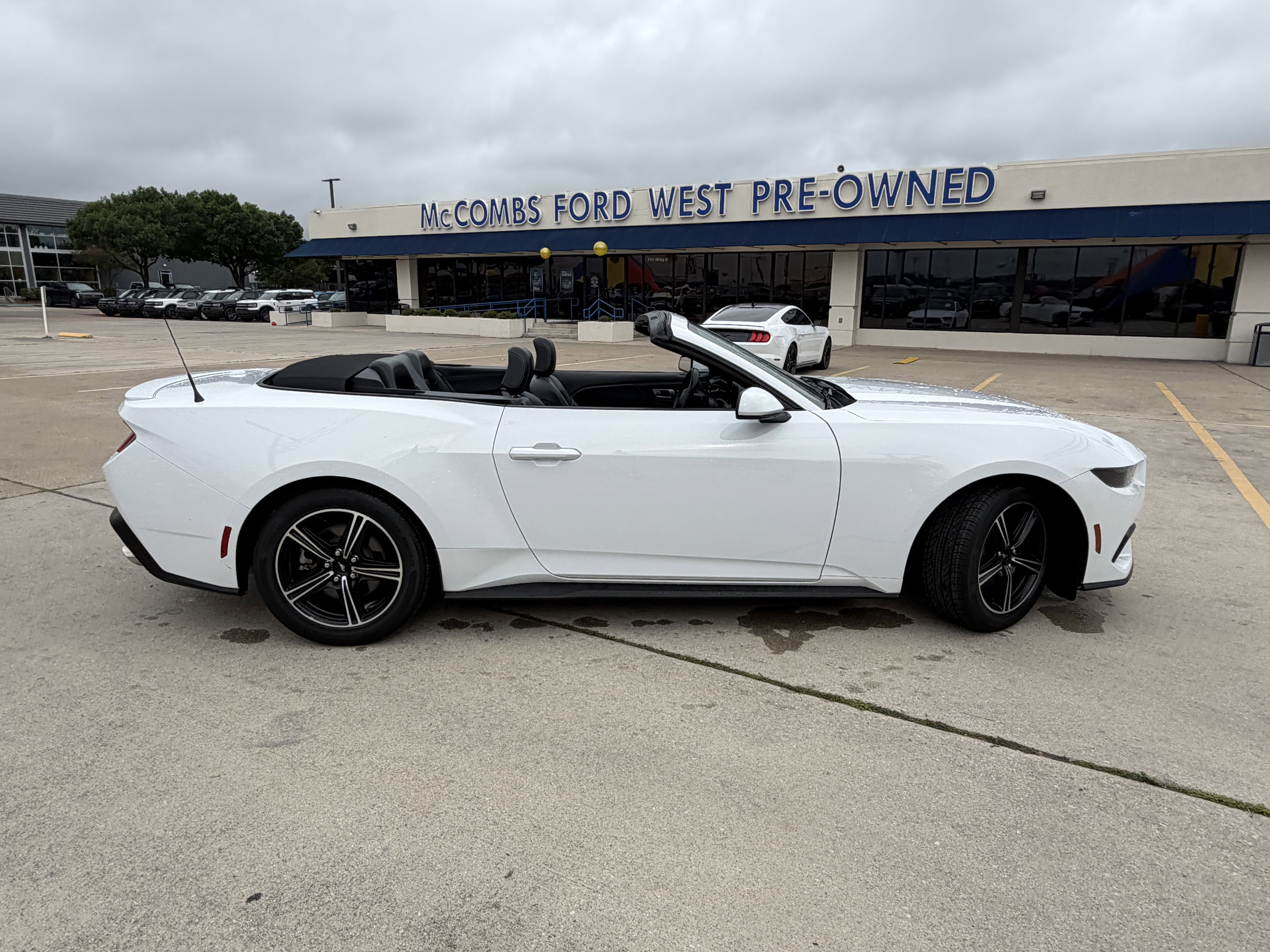 Certified 2025 Ford Mustang Premium RWD image 4