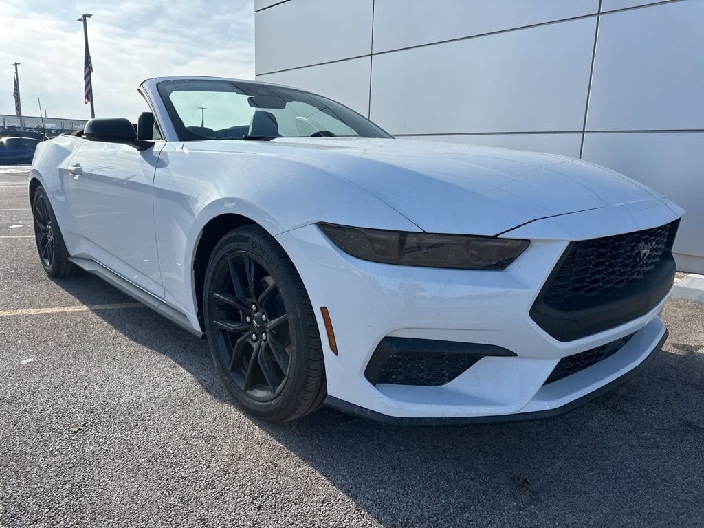 New 2026 Ford Mustang Convertible w/ Mustang Nite Pony Package image 22