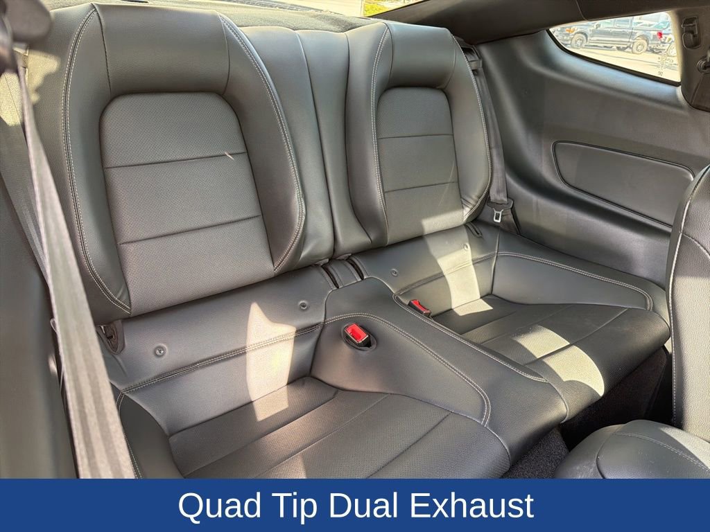 Certified 2019 Ford Mustang GT Premium w/ GT Performance Package image 12