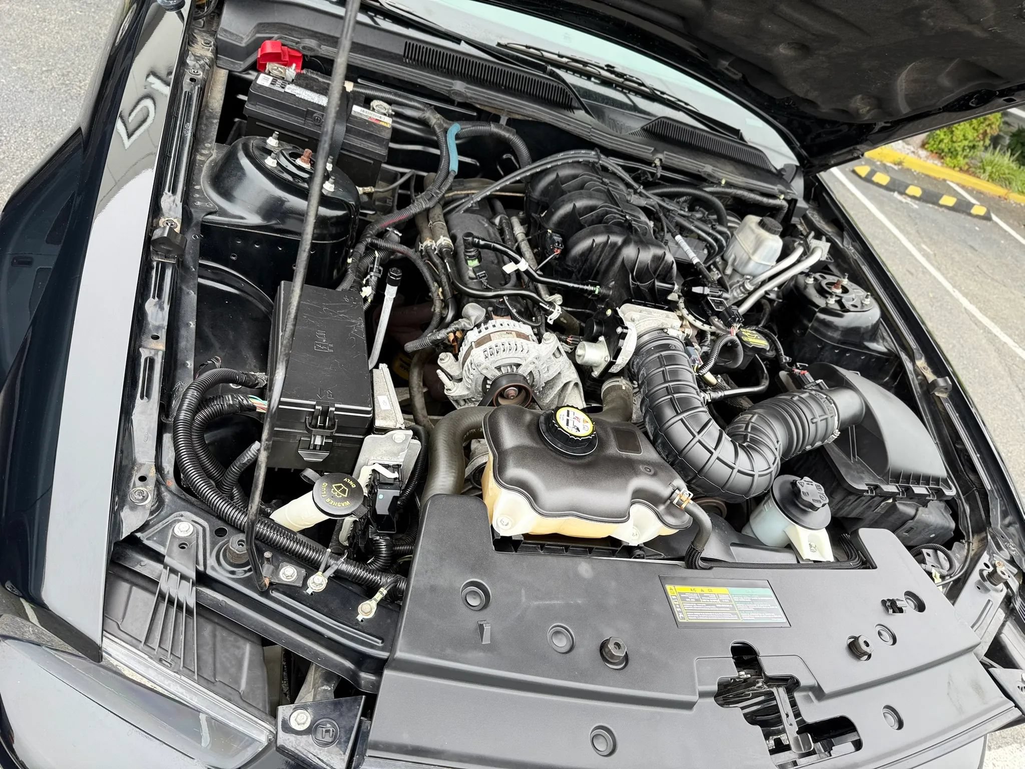 Used 2009 Ford Mustang Premium RWD image 33