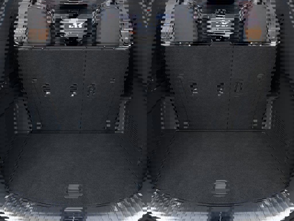 New 2025 Kia Telluride SX Prestige X-Pro image 19