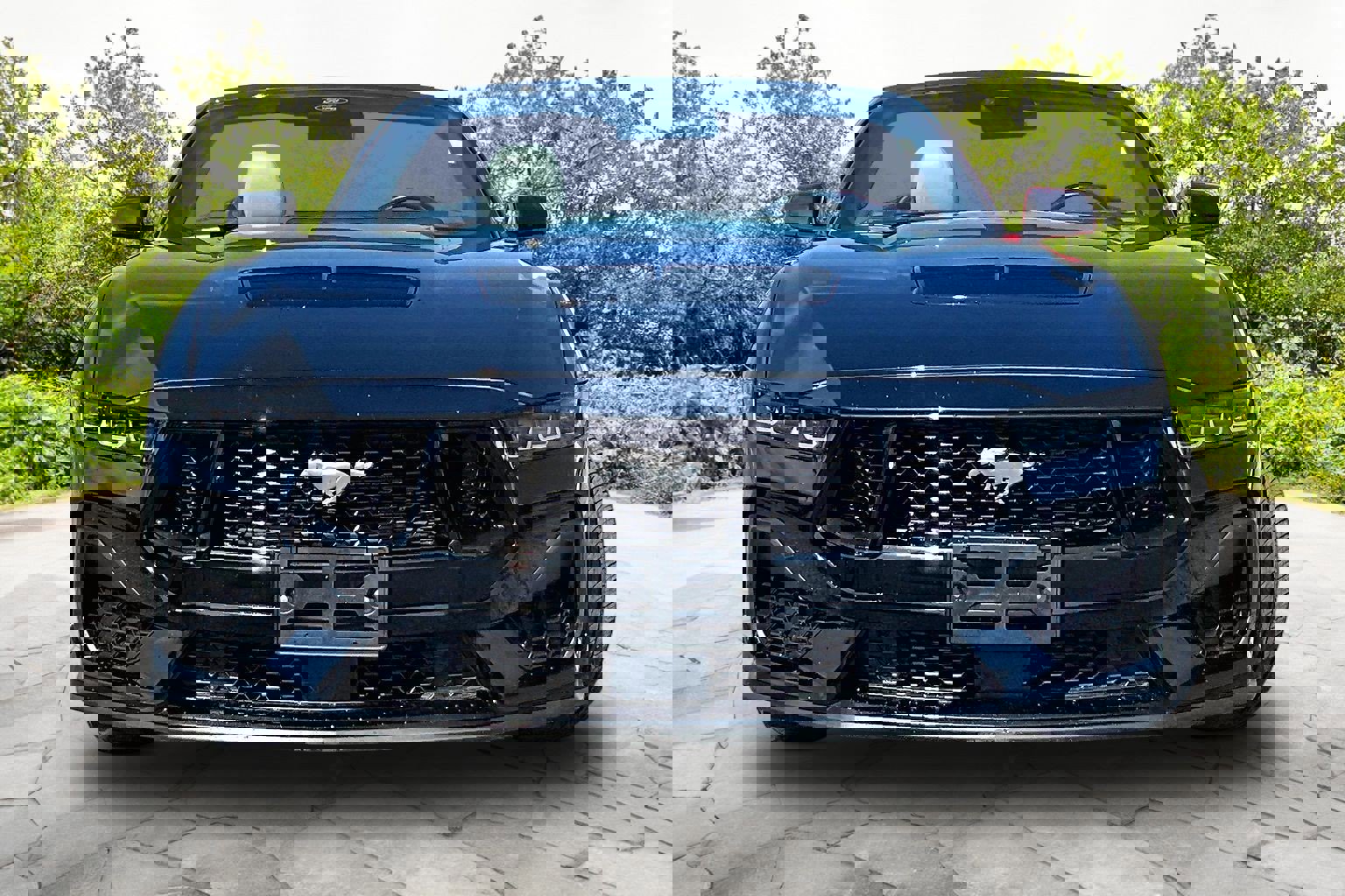 Used 2024 Ford Mustang GT Premium image 3