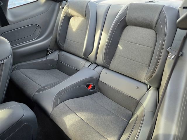 New 2025 Ford Mustang EcoBoost image 4