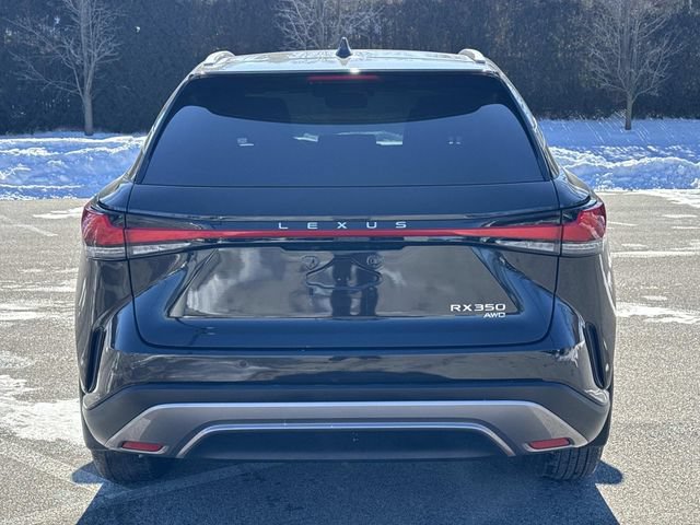 Used 2025 Lexus RX 350 Premium Plus w/ Convenience Package AWD/4WD image 6