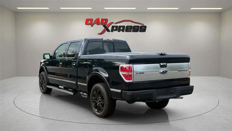 Used 2010 Ford F150 Platinum image 9
