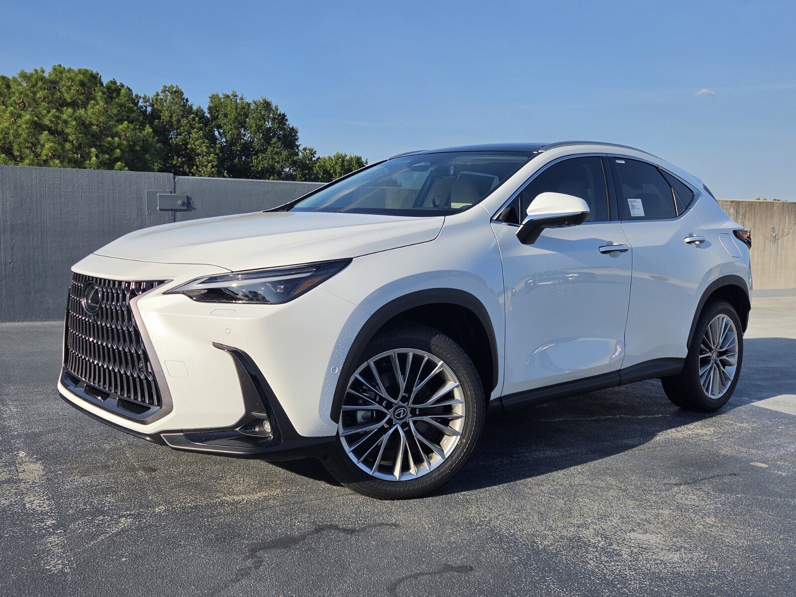 New 2026 Lexus NX 350 AWD w/ Cold Area Package