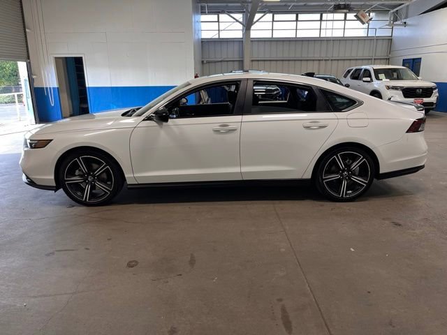 Used 2023 Honda Accord Sport image 6