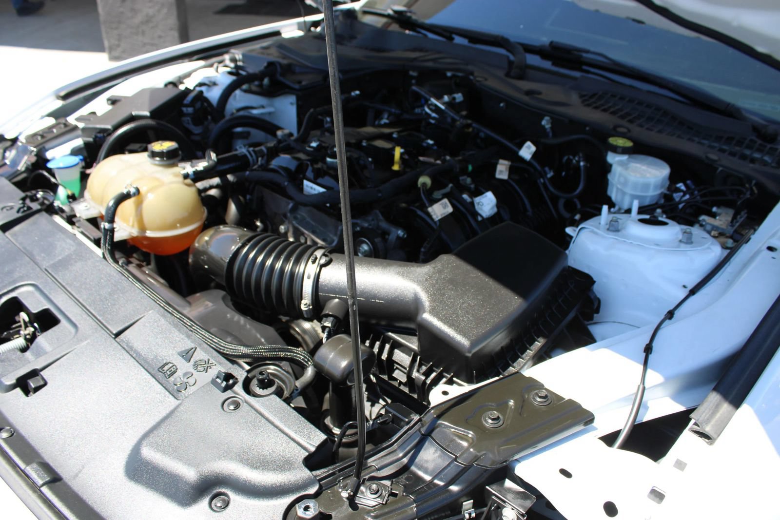 Used 2022 Ford Mustang Premium RWD image 17