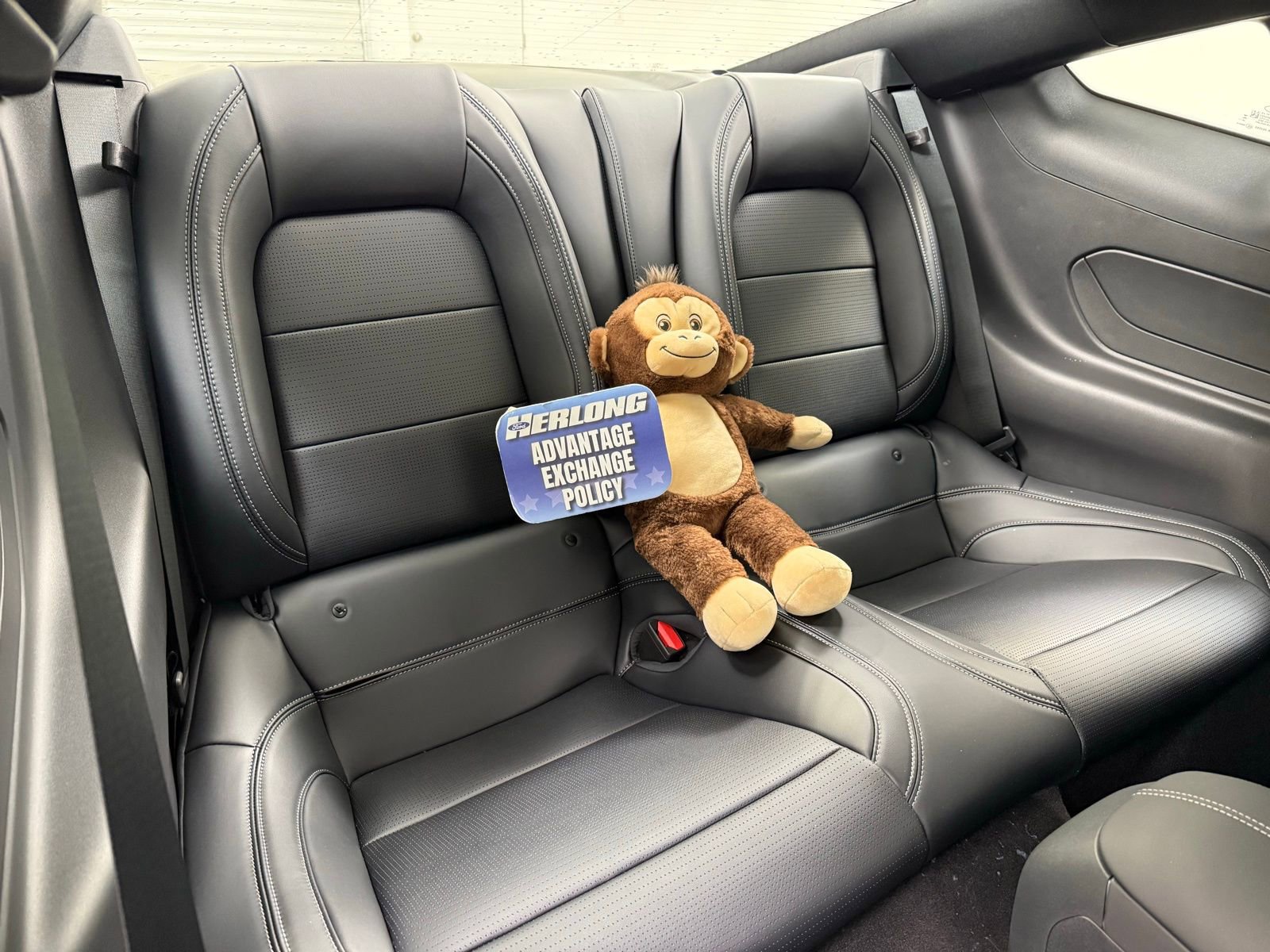 New 2026 Ford Mustang GT Premium image 20