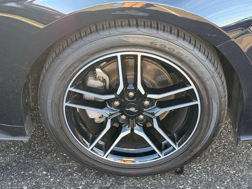 Used 2022 Ford Mustang Premium RWD image 6