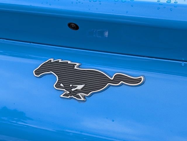 Used 2024 Ford Mustang Mach-E Premium image 15