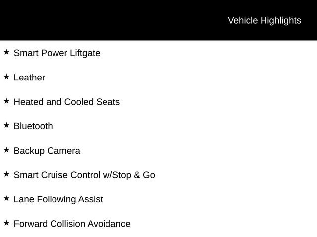 New 2026 Kia Carnival SX image 13