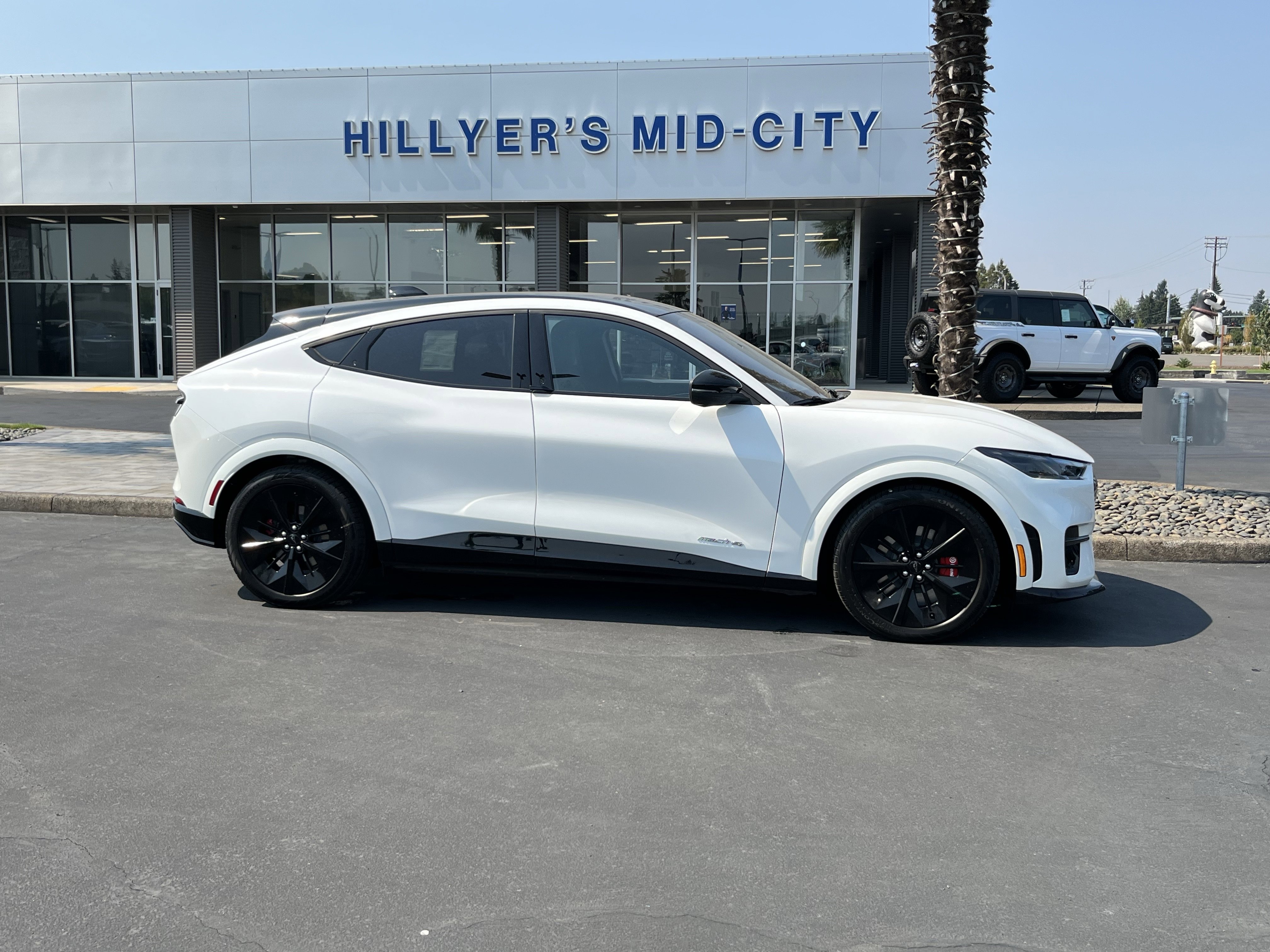 New 2025 Ford Mustang Mach-E GT w/ Interior Protection Package image 2
