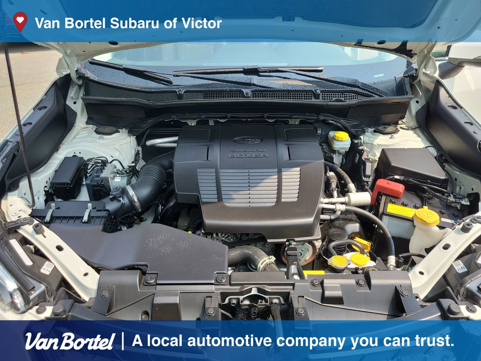 Certified 2023 Subaru Forester Limited AWD/4WD image 11