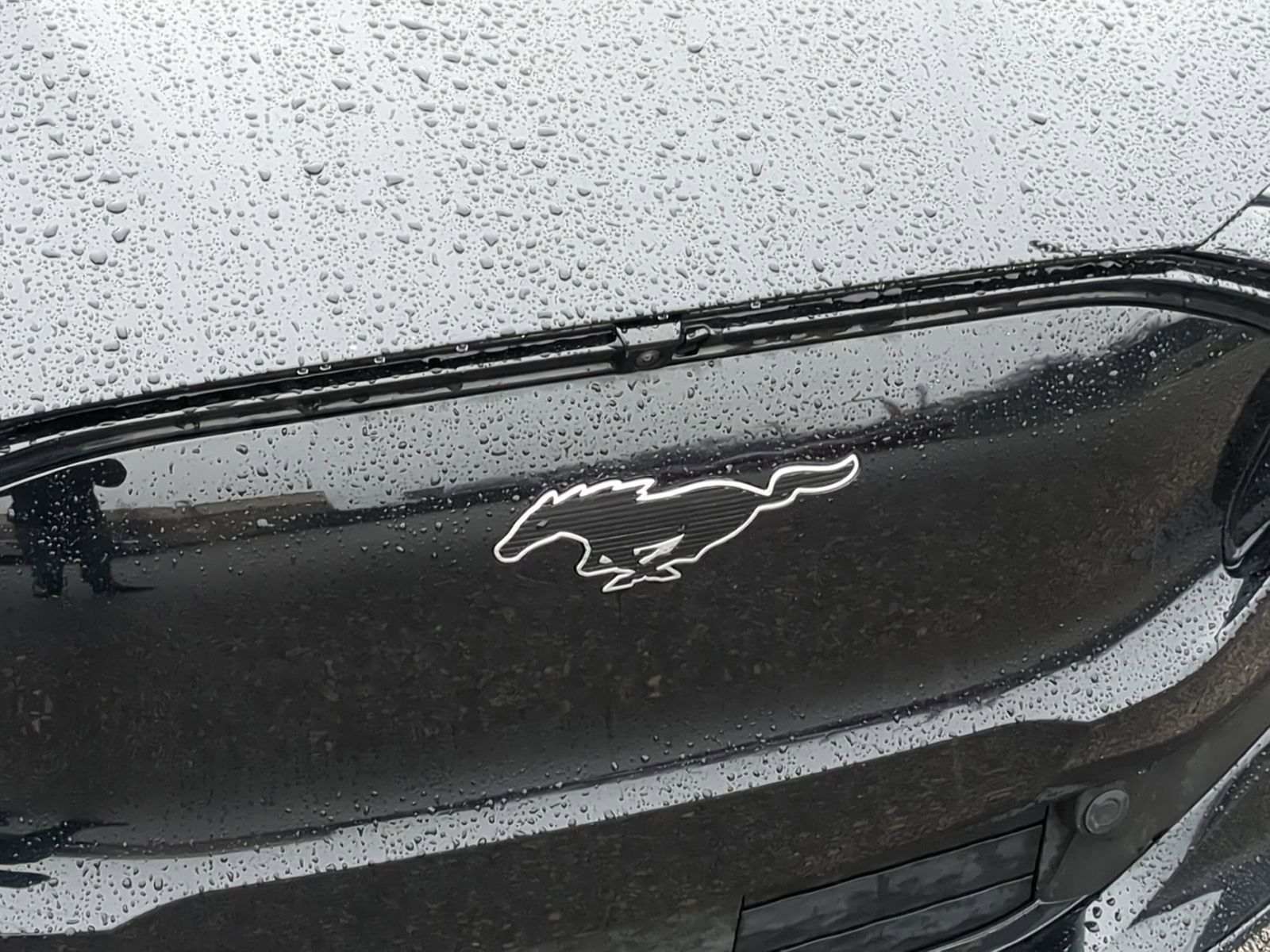 Used 2021 Ford Mustang Mach-E Premium image 16