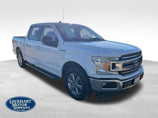 Used 2019 Ford F150 XLT w/ Equipment Group 302A Luxury image 1