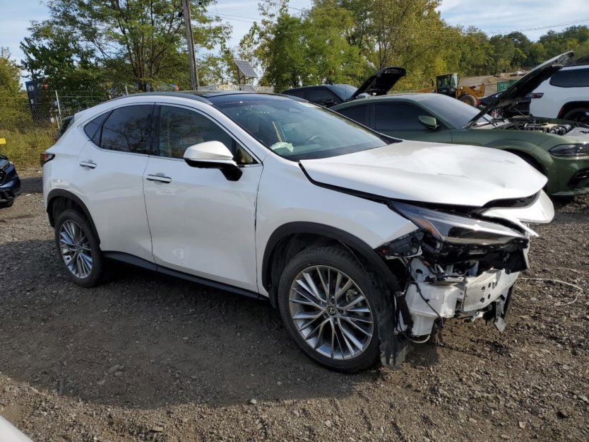 Used 2025 Lexus NX 350h AWD w/ Luxury Package