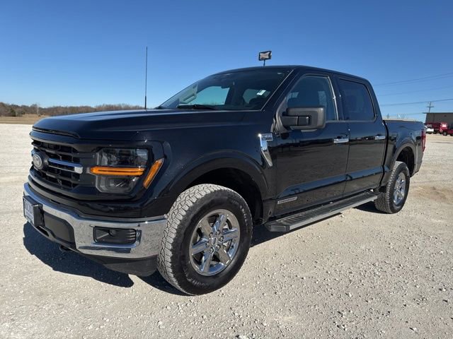Used 2025 Ford F150 XLT w/ Equipment Group 301A Standard image 1