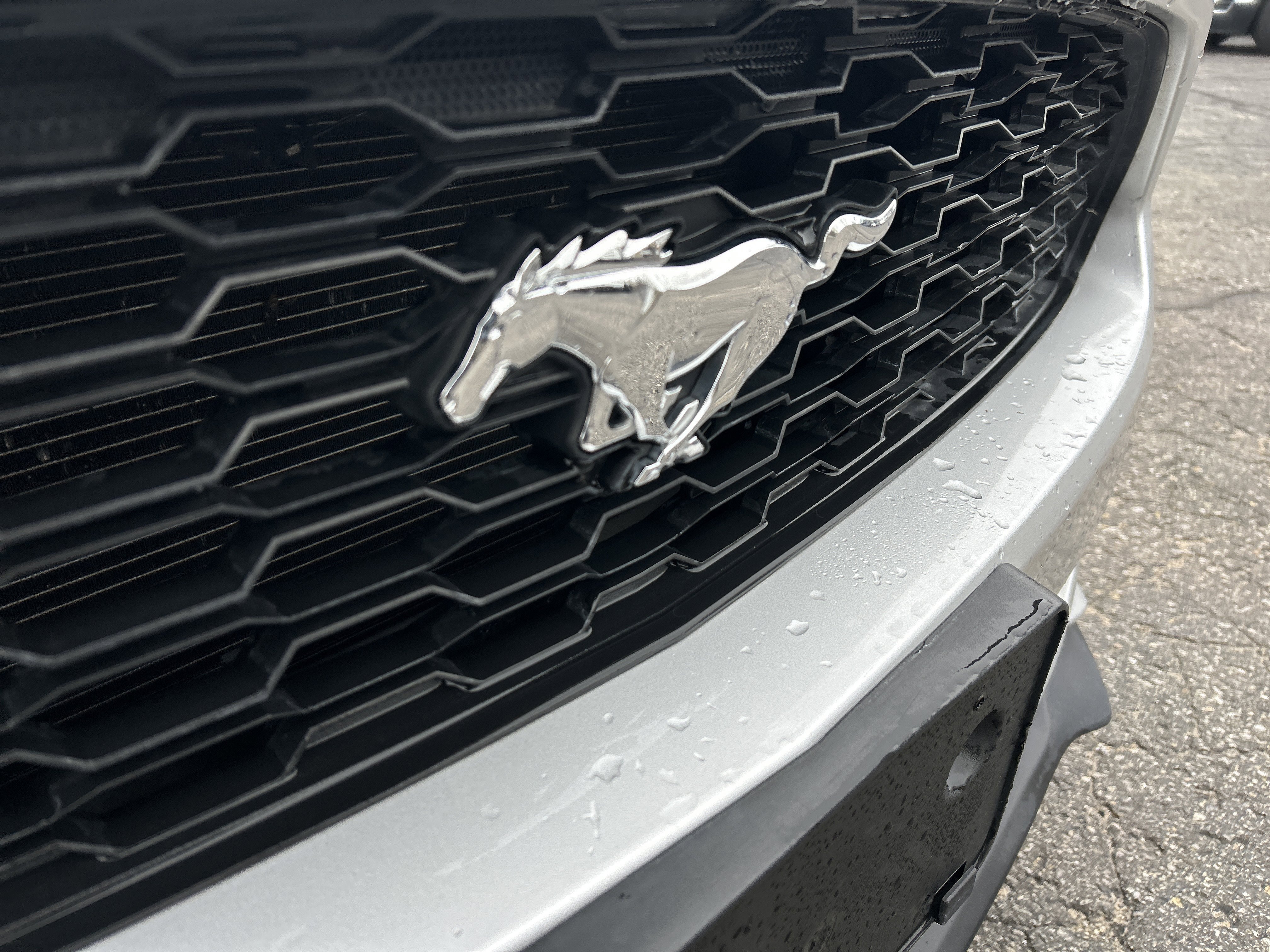 Used 2017 Ford Mustang Premium RWD image 37