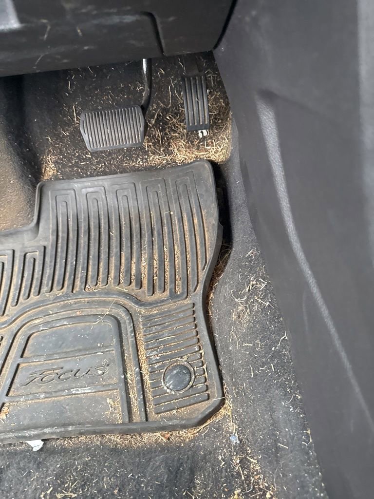 Used 2014 Ford Focus Titanium FWD image 16