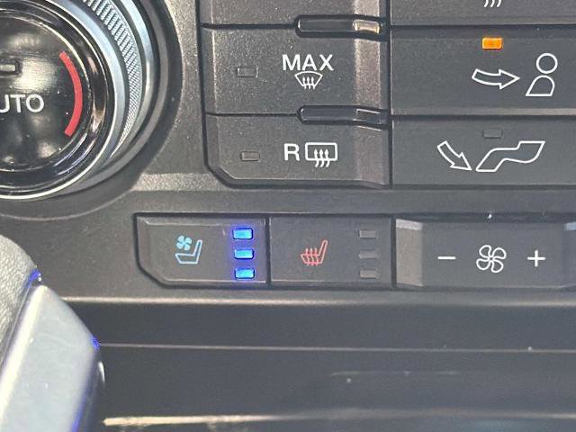 Certified 2019 Ford F150 Platinum w/ Equipment Group 701A Luxury image 15