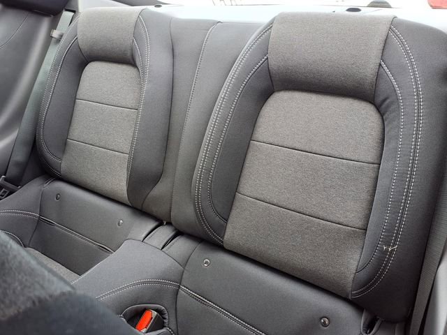 New 2026 Ford Mustang Coupe image 6