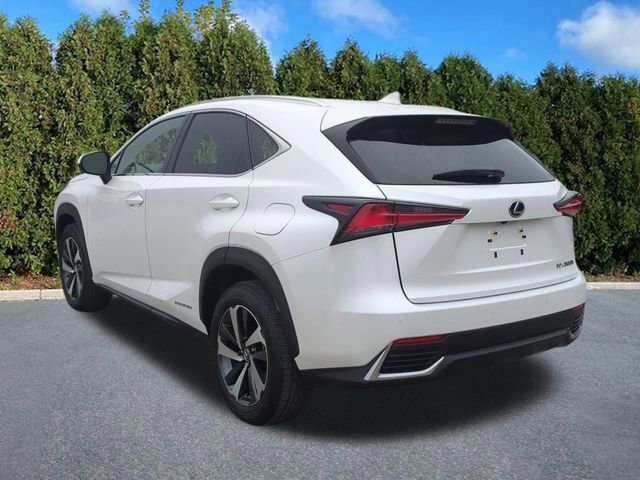 Used 2021 Lexus NX 300h AWD w/ Premium Package image 6
