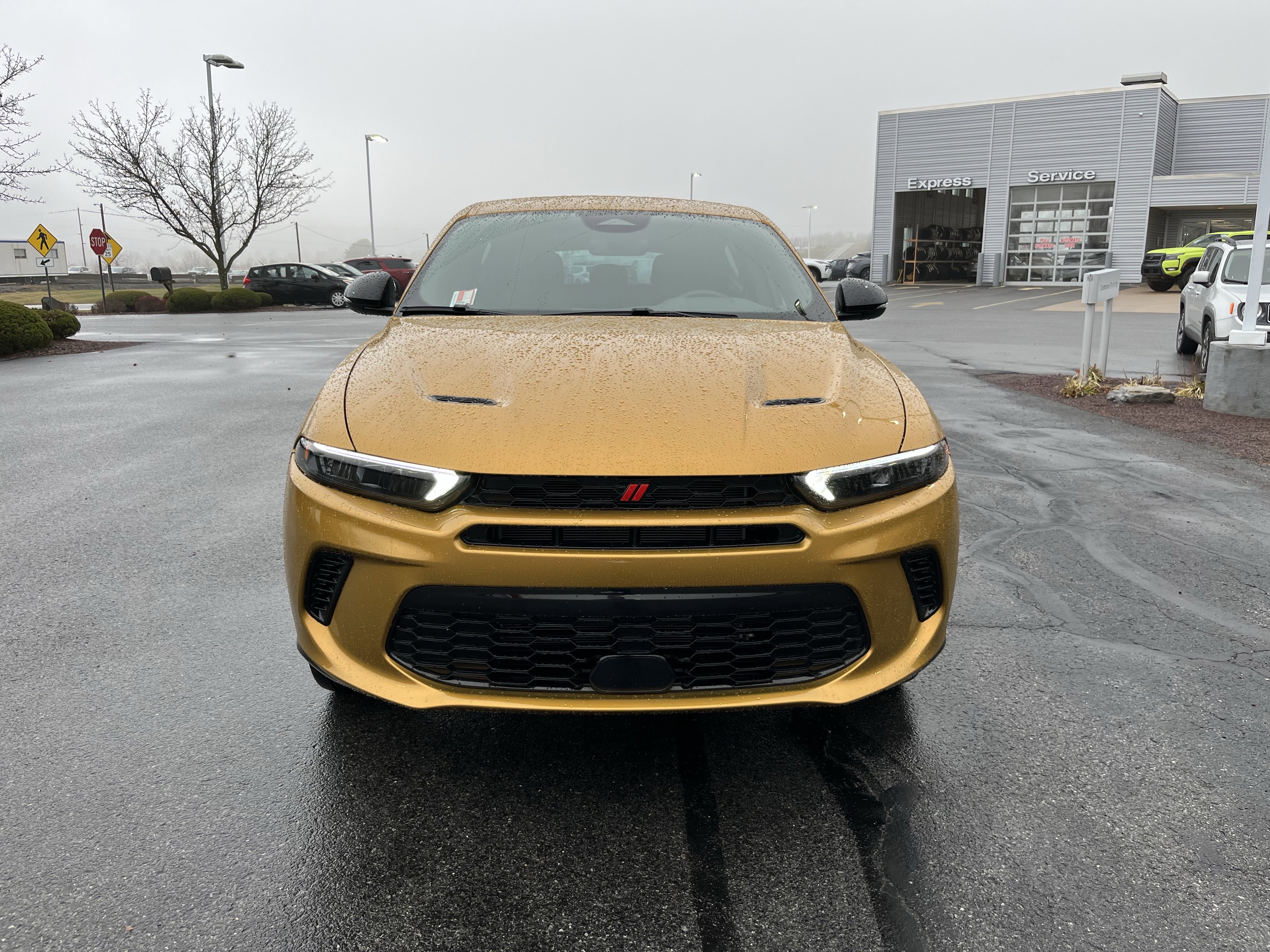 Used 2024 Dodge Hornet R/T image 9