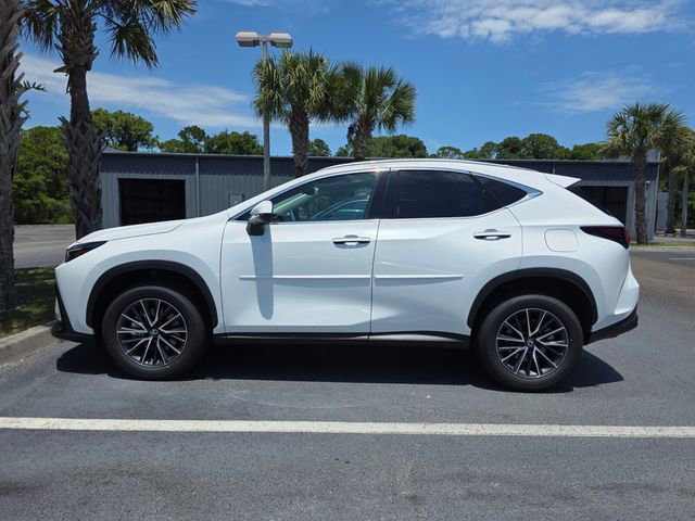 Used 2026 Lexus NX 350h AWD w/ Premium Package image 2