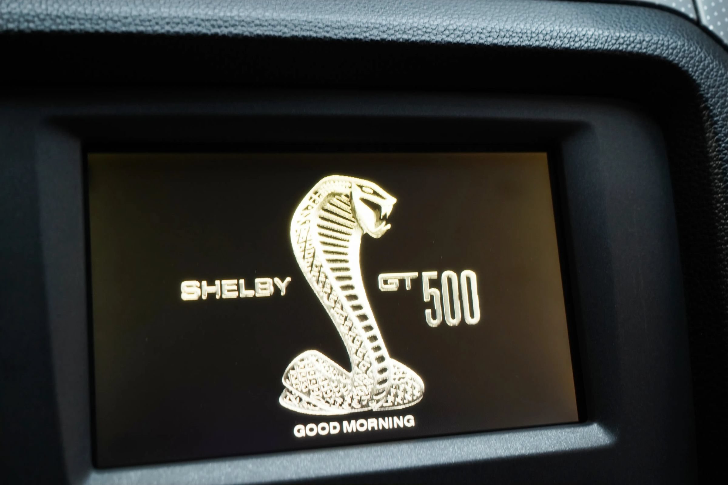 Used 2010 Ford Mustang Shelby GT500 RWD image 53