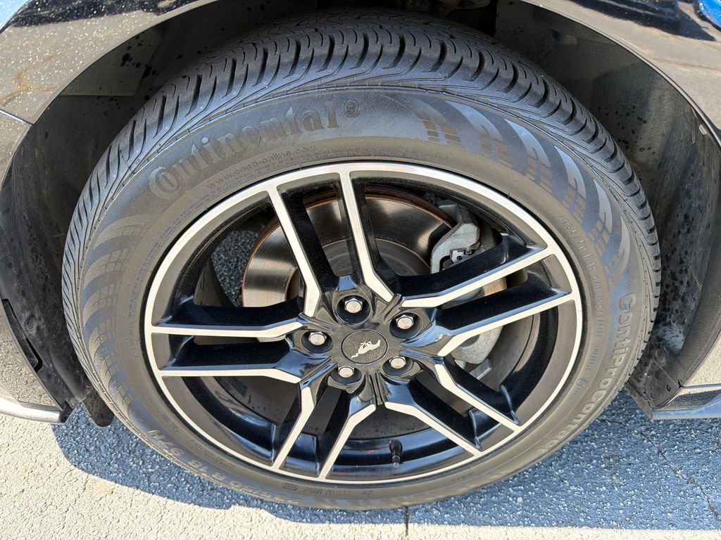 Used 2018 Ford Mustang Premium w/ Equipment Group 201A RWD image 11